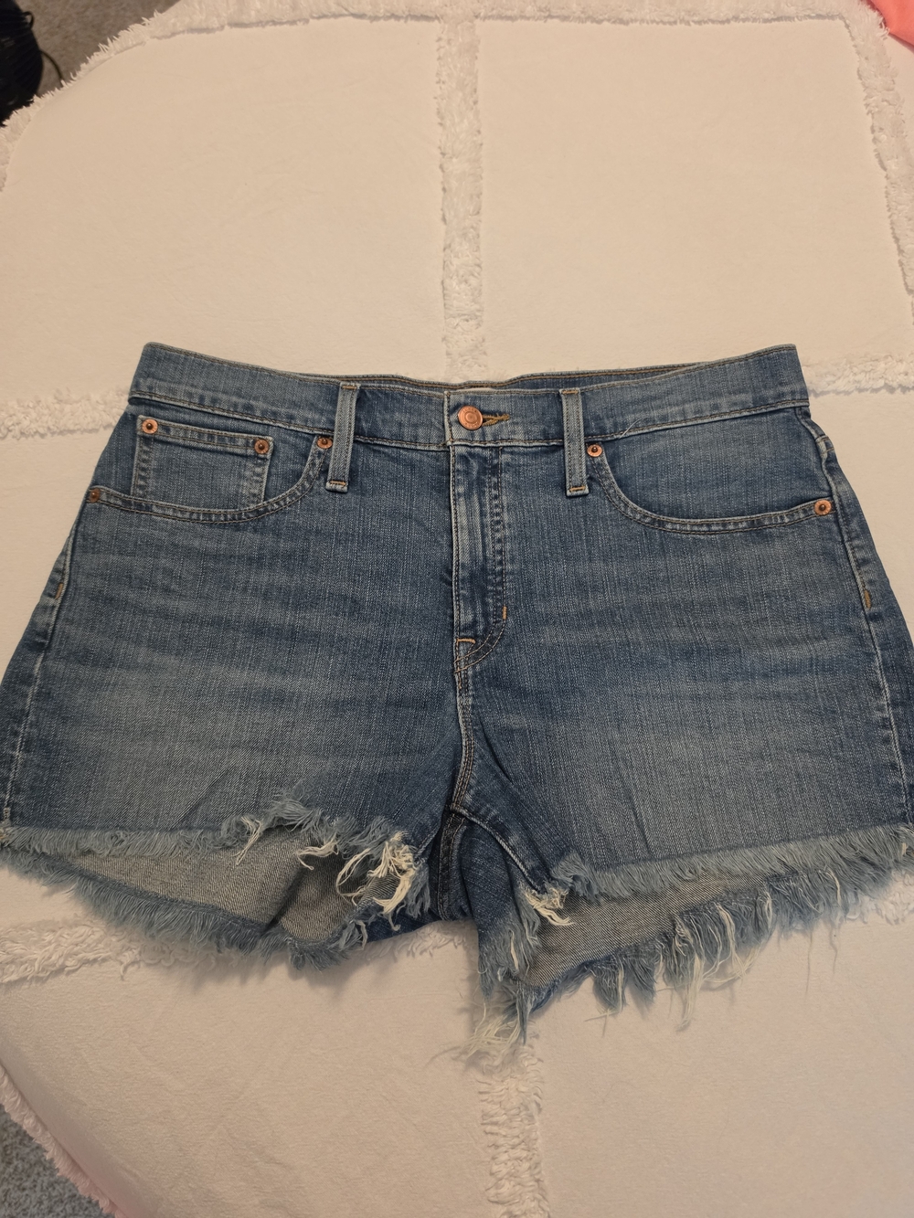 J. Crew Light Blue Frayed Hem Denim Shorts